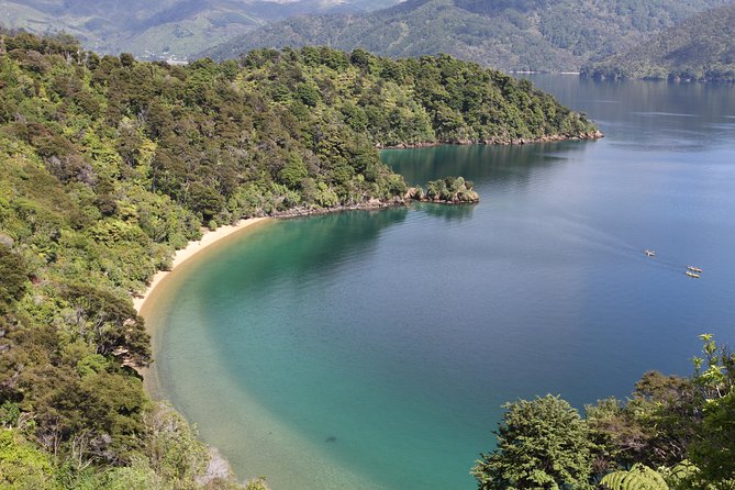 Half day Sea Kayak Guided Tour from Picton - Stop-by-stop: Marlborough Sounds, Queen Charlotte Sound, and your return wrap-up