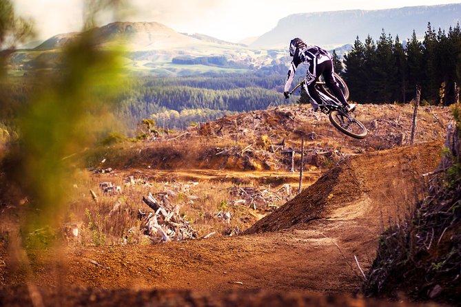 Half-Day Self-Guided Mountain Bike Journey through Whakarewarewa Redwood Forest - Key Things I’d Keep in Mind Before You Go