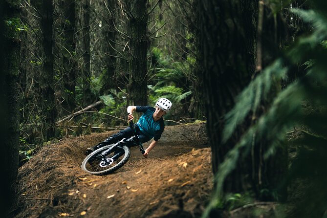 Half-Day Self-Guided Mountain Bike Journey through Whakarewarewa Redwood Forest - Who This Redwood Ride Fits Best