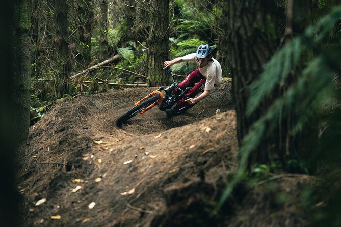 Half-Day Self-Guided Mountain Bike Journey through Whakarewarewa Redwood Forest - The 4-Hour Time Window: How to Use It Best