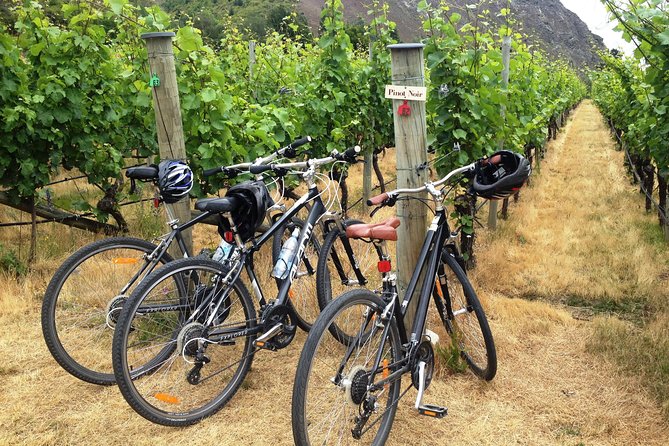 Half-Day Self-Guided Ride and Wine Bike Tour from Arrowtown - Key Highlights Worth Your Time