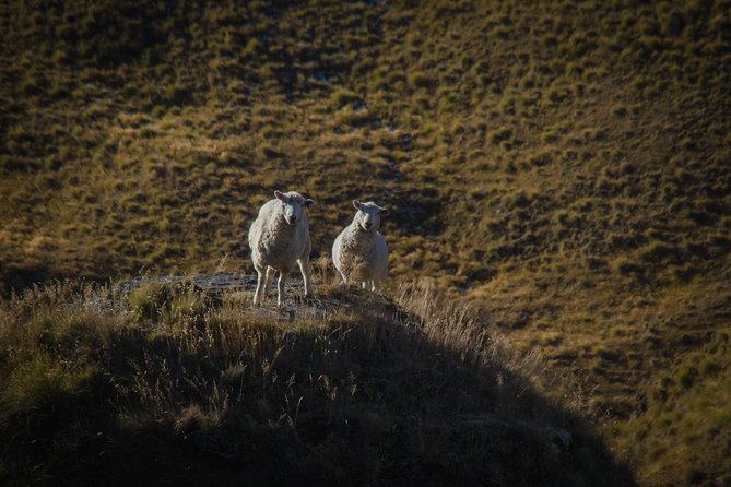 Half Day Skippers Canyon Queenstown Private Photography Adventure - Waypoints you’ll remember: Hells Gate, Bus Scratch Corner, Pinchers Bluff, and Gorilla Rock