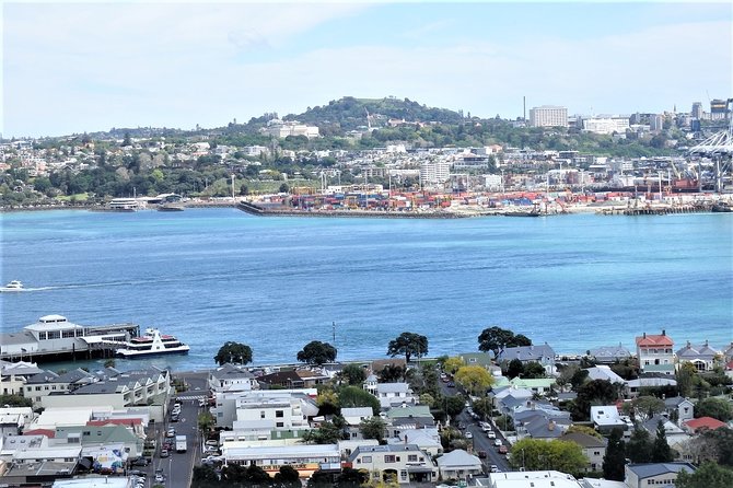 Half-Day: Small Group Auckland Scenic Tour - 4 HOURS - Crater lakes, Remuera villas, and Parnell’s Golden Mile