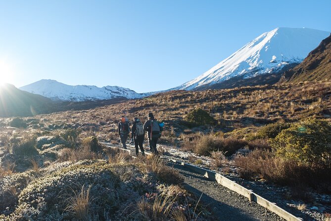 Half Day Tongariro Alpine Guided Group Walk - Mt Ngauruhoe Springs to Soda Springs: Where the Volcanic World Gets Weirdly Beautiful