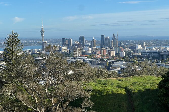 Half-Day Tour: AUCKLAND CITY Highlights with Hotel Pickup - Key things I’d watch for on this Auckland highlights tour