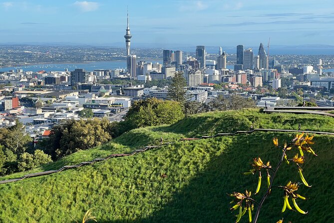 Half-Day Tour: AUCKLAND CITY Highlights with Hotel Pickup - Why this Auckland half-day loop makes sense for first-time visits