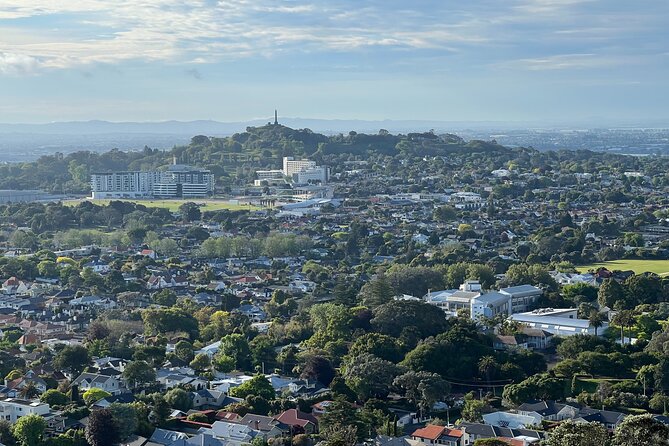 Half-Day Tour: AUCKLAND CITY Highlights with Hotel Pickup - Hotel pickup to Sky Tower: the quick hit of skyline scale