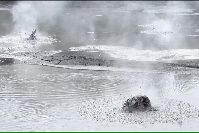 Half-Day Tour - Ex Rotorua: WAI-O-TAPU Thermal Wonderland - Price and Value: Is $104.88 Worth It?