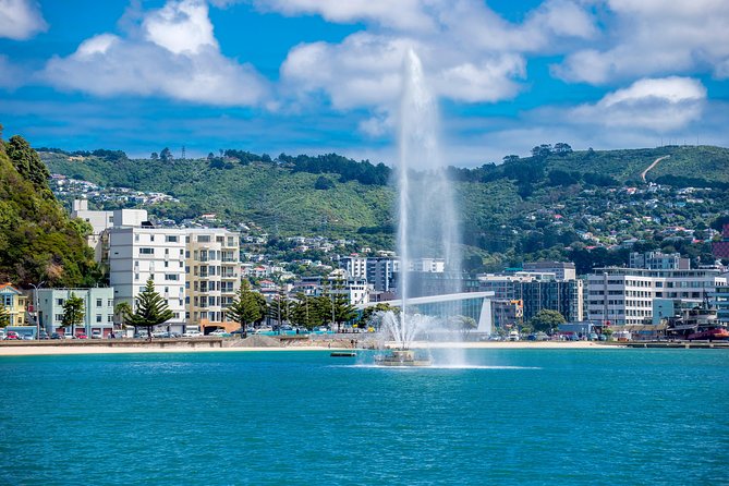 Half Day Tour of Wellington - Key things that make this half-day Wellington tour worth your time