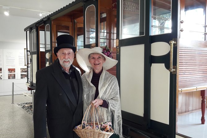 Half Day Tour of Wellington - Mount Victoria: your fast 360-degree Wellington orientation