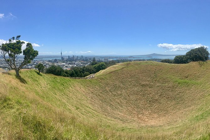 Half-Day Volcano Tour from Auckland - Key Highlights You Will Care About
