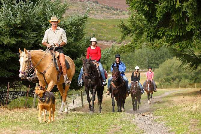 Half Day Walter Peak Horse Trek and Cruise from Queenstown - Remarkables views and farm moments you can actually notice