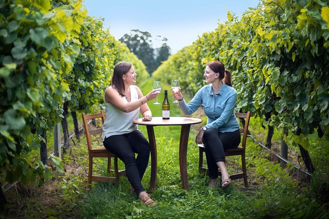 Half-Day Wine Tour from Blenheim - Three to Four Wineries, With Real Variety (Not Just One Style)