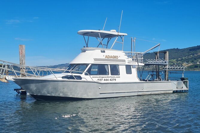 Harbour, Albatross and Wildlife Cruise on Otago Harbour - Key things to know before you go