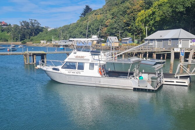 Harbour, Albatross and Wildlife Cruise on Otago Harbour - Careys Bay stop: fishing boats and wildlife along the shoreline