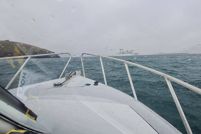 Harbour, Albatross and Wildlife Cruise on Otago Harbour - Optional Careys Bay Hotel finish: a drink or seafood break