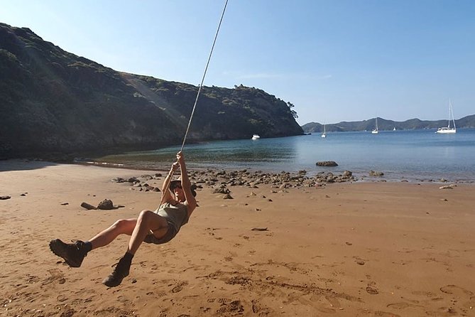 Hauraki Gulf Eco Sailing Adventure - Stop 2: sailing through the Hauraki Gulf Marine Park and spotting wildlife from the sails