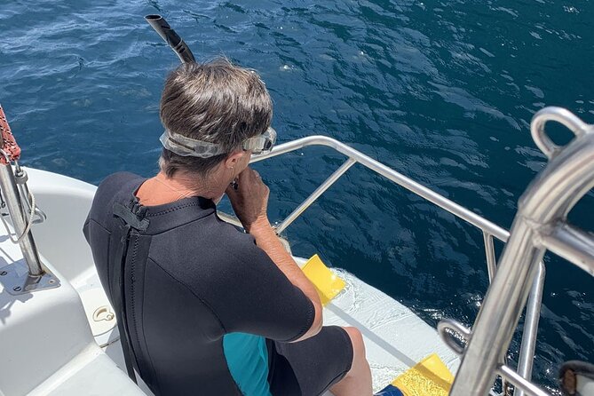 Hauraki Gulf Eco Sailing Adventure - Meet at Matiatia and plan your ferry time
