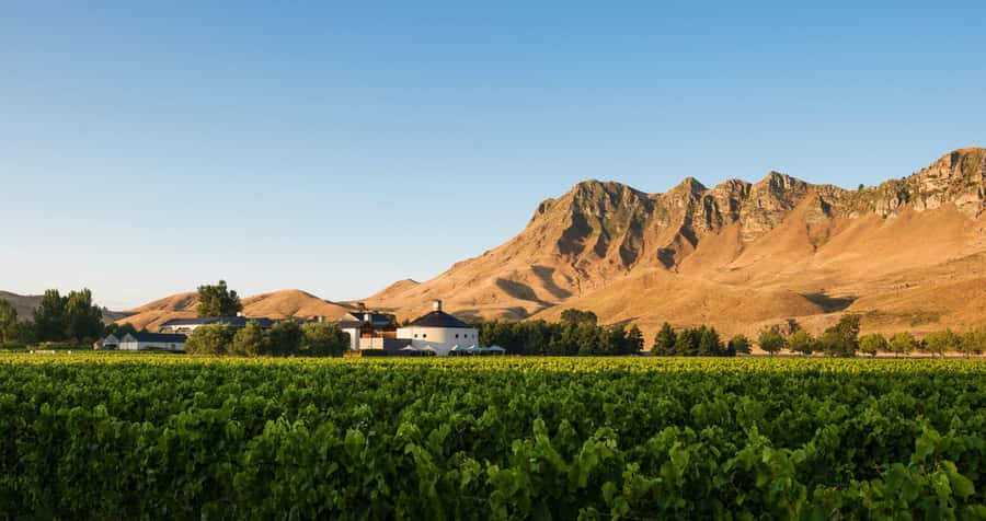Hawke's Bay: Self Guided Coast to Vineyards Cycle Tour - Should you book it?