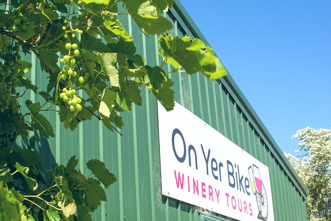Hawkes Bay Wineries Self-Guided Bike Tour - Comfort and pacing: what “leisurely” feels like on flat trails