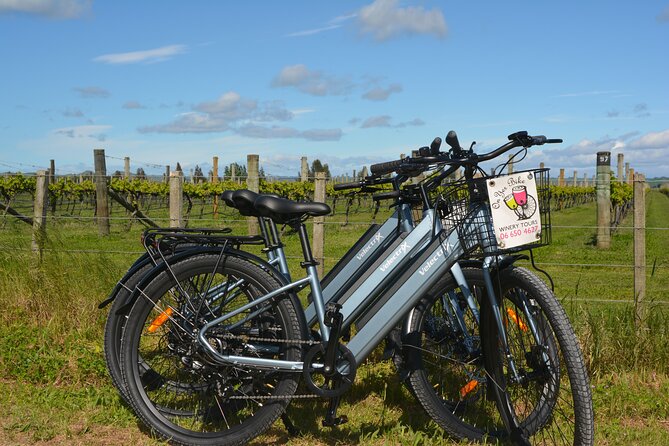 Hawkes Bay Wineries Self-Guided Electric Bike Tour - Key Points You’ll Care About