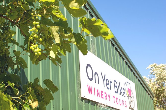 Hawkes Bay Wineries Self-Guided Electric Bike Tour - Why This Hawke’s Bay E-Bike Plan Works Better Than Car or Bus