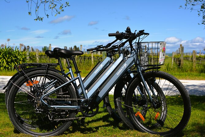 Hawkes Bay Wineries Self-Guided Electric Bike Tour - Tasting Your Way: What’s Included, What’s Extra, and How to Pace Stops