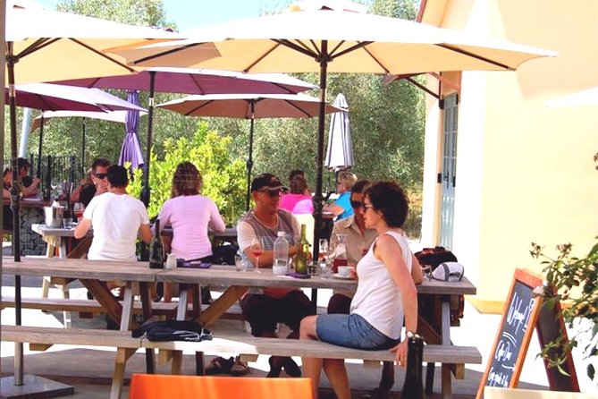 Hawkes Bay Wineries Self-Guided Electric Bike Tour - Who Should Book This Self-Guided Winery E-Bike Tour