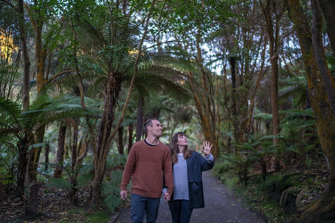 Hell's Gate Geothermal Walk - Quick hits before you go