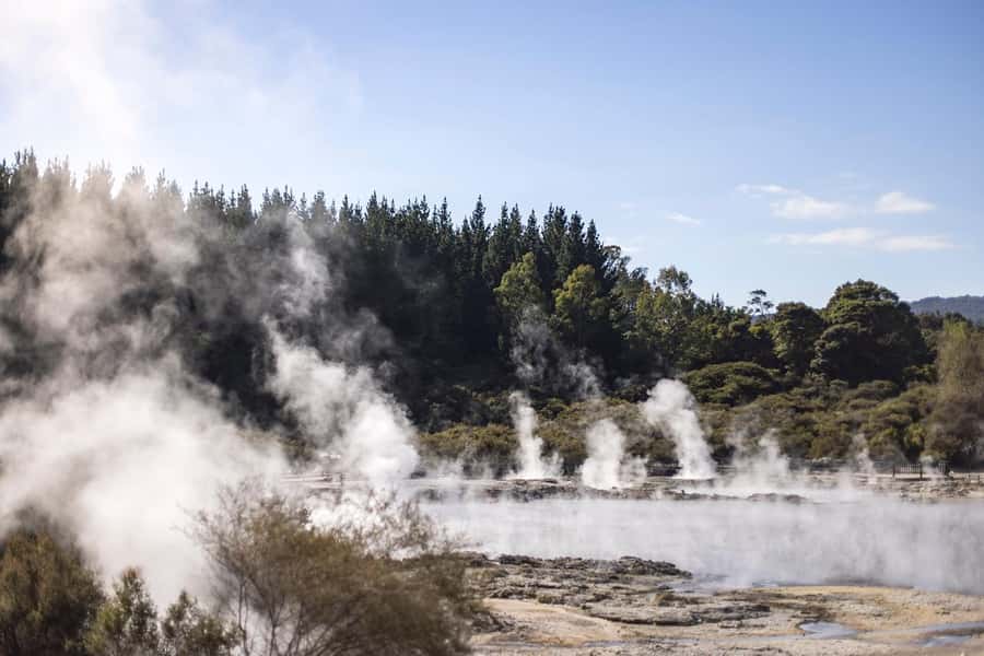HELL'S GATE Mud Spa, Rotorua - Group Day Tour Ex Auckland - A 12-hour Rotorua day from Auckland that stays on track