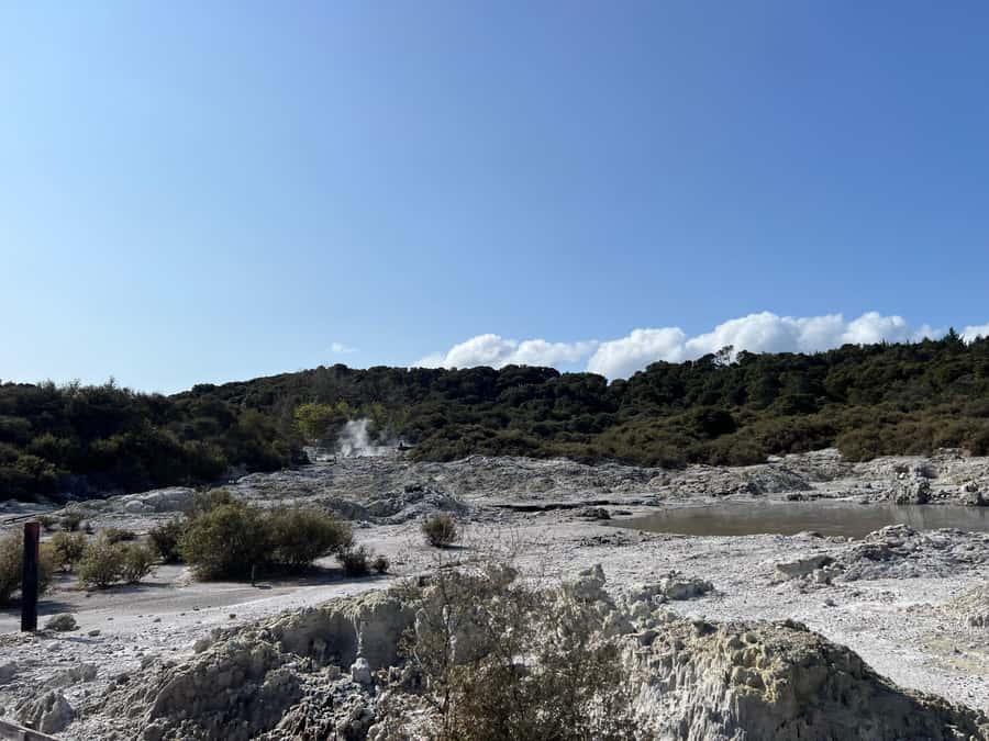 HELL'S GATE Mud Spa, Rotorua - Group Day Tour Ex Auckland - Hell’s Gate Geothermal Reserve: the self-guided walk that does the heavy lifting