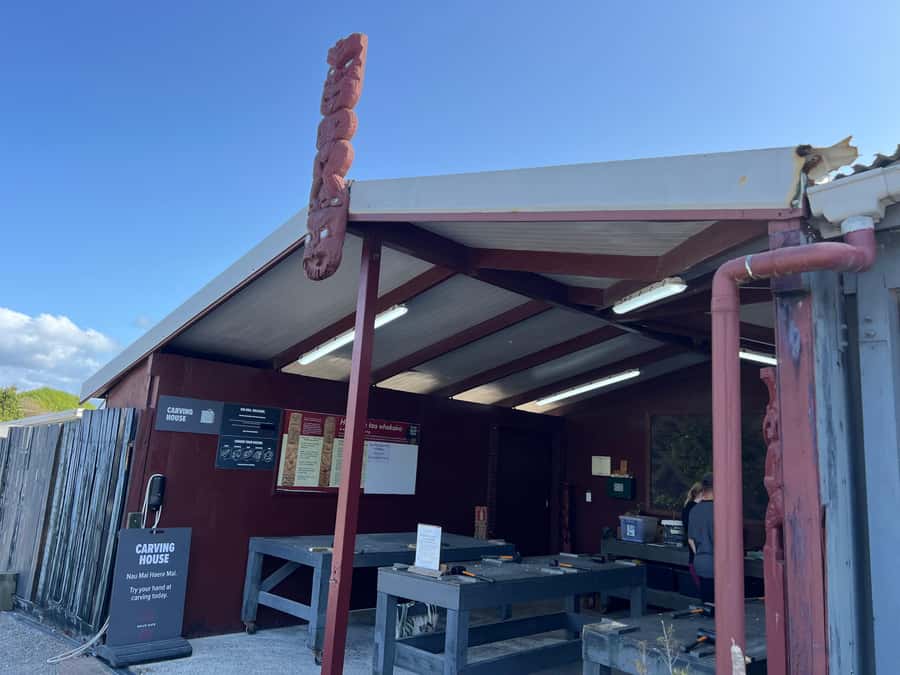 HELL'S GATE Mud Spa, Rotorua - Group Day Tour Ex Auckland - Lunch timing and packing list that saves you money and stress