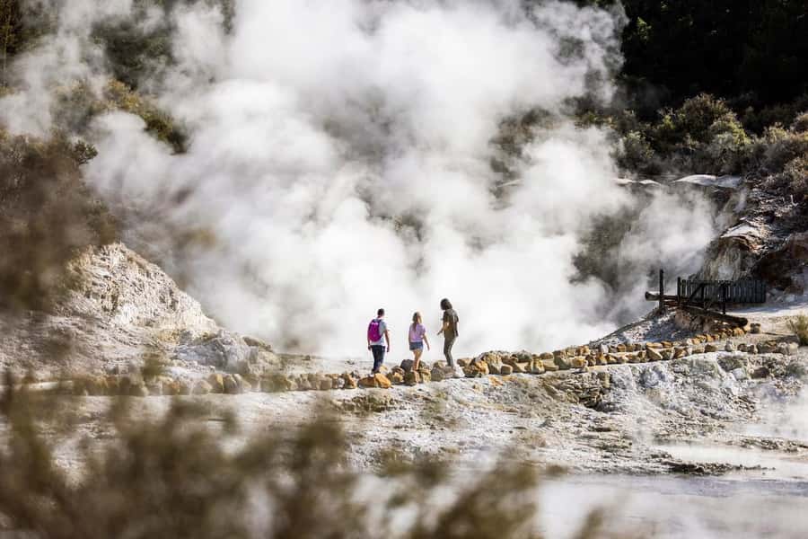 HELL'S GATE Mud Spa, Rotorua - Group Day Tour Ex Auckland - Price and value: is $298 per person worth it?