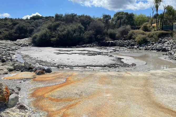 Hells Gate Geothermal, Mud & Sulphur Spa - Hell’s Gate geothermal walk with Māori carving