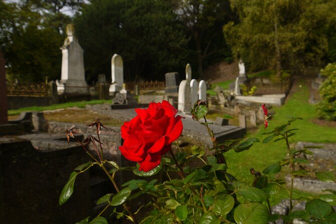 Heritage City and Larnach Castle Van tour with Historian Guide - Northern Cemetery: William Larnach and the city’s hardest chapters