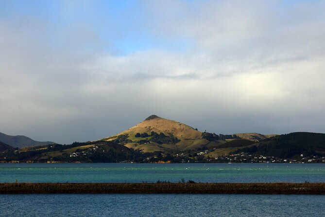 Heritage City and Larnach Castle Van tour with Historian Guide - Queens Gardens and High Street: war memory and the darker corners of town