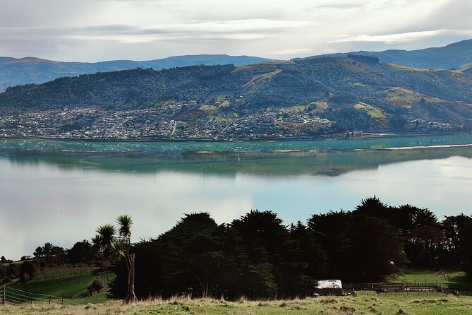 Heritage City and Larnach Castle Van tour with Historian Guide - Larnach Castle and gardens: the highlight, done as a guided walk