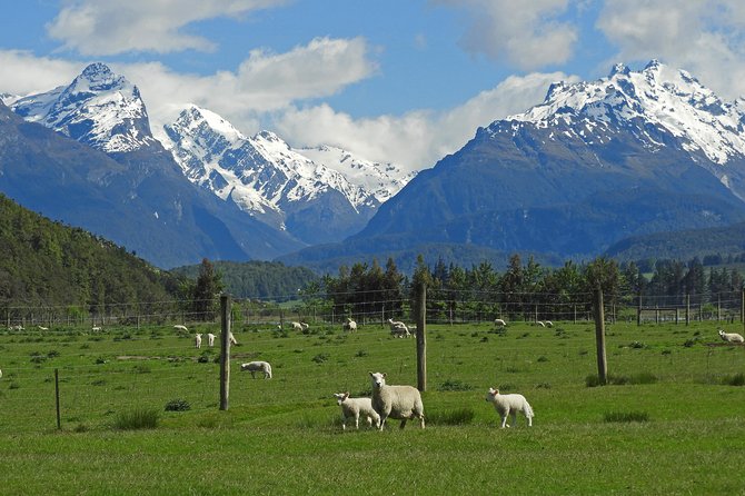 High Country Discovery Tour from Queenstown - 4.5 hours that feels unhurried: photo stops and short walks