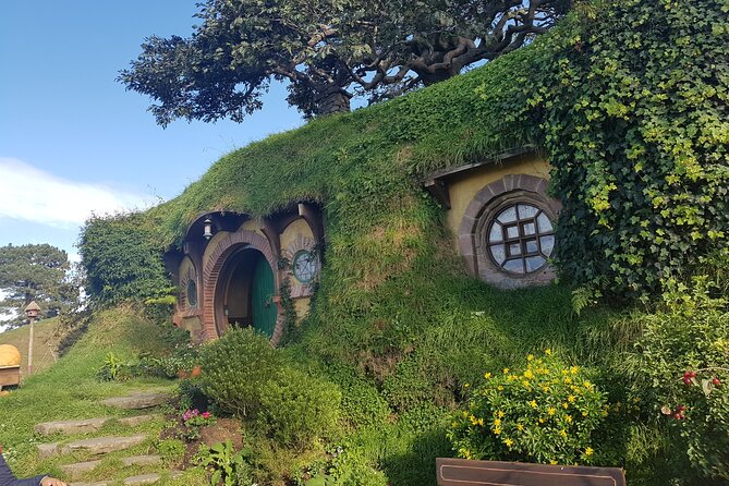 Hobbiton Afternoon Tour in Luxury Minibus from Auckland - Luxury comfort on the ride out of Auckland