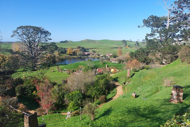 Hobbiton Afternoon Tour in Luxury Minibus from Auckland - Why the Waikato drive feels like part of the day