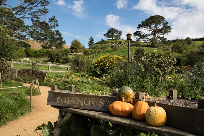 Hobbiton Day Tour from Rotorua with lunch at Hobbiton - Coach comfort and small-group energy