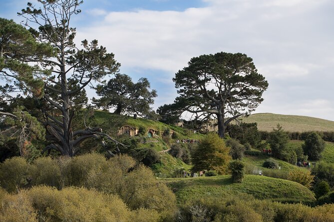 Hobbiton Day Tour from Rotorua with lunch at Hobbiton - Rotorua pickup realities: meeting point and parking friction