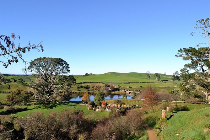 Hobbiton Movie Set Group Tour Early Access (Avoid the crowds!) - Green Dragon Inn snacks and timing your photos