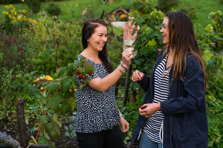 Hobbiton Movie Set & Rotorua Premium Day Tour from Auckland - Te Puia at Rotorua: Geothermal Valley Plus Maori Culture in One Guided Block