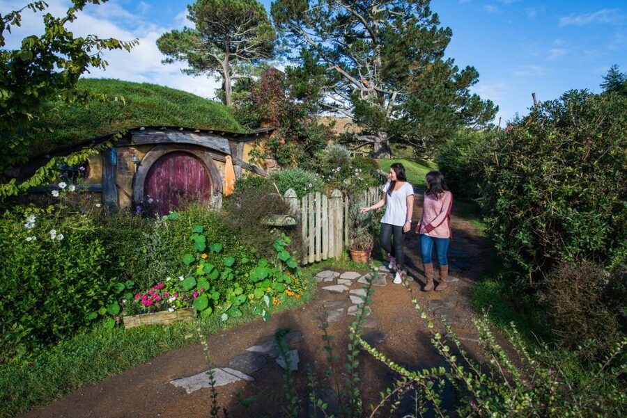 Hobbiton Movie Set & Rotorua Premium Day Tour from Auckland - Kiwi Bird House Time: Nga Manu Ahurei Up Close