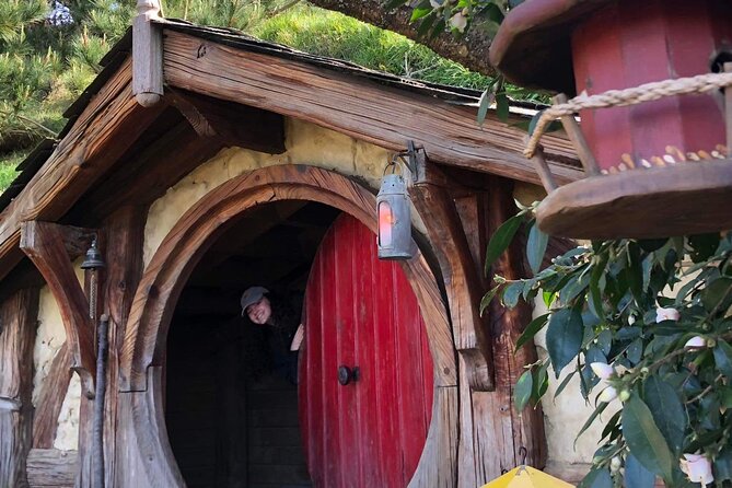 Hobbiton movie set tour and a lot more beautiful NZ sights - McLaren Falls Park, waterfall views plus a short native-forest walk