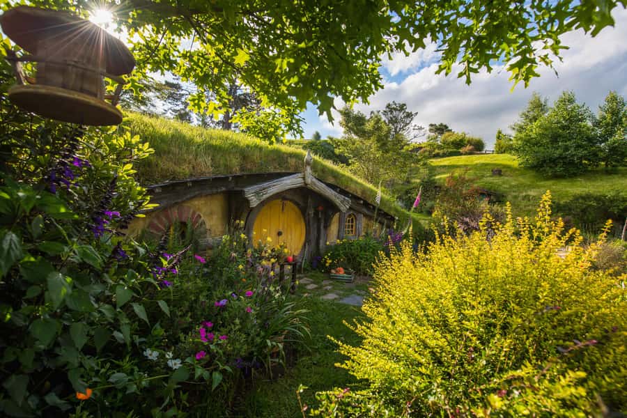 Hobbiton Movie Set Tour to Blue Springs and Waitomo caves - A full North Island day, starting and ending in Auckland