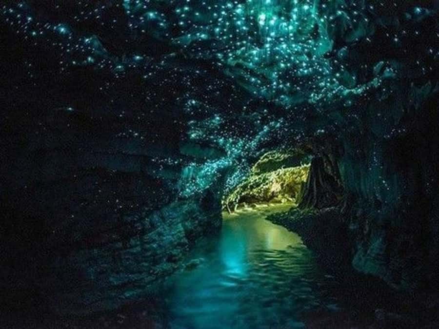 Hobbiton Movie Set Tour to Blue Springs and Waitomo caves - Waitomo glowworm caves: a 60-minute boat ride that hits hard