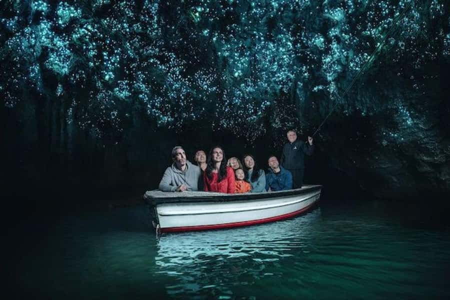 Hobbiton Movie Set Tour to Blue Springs and Waitomo caves - Blue Springs in all four seasons: calm water, birds, and a reset