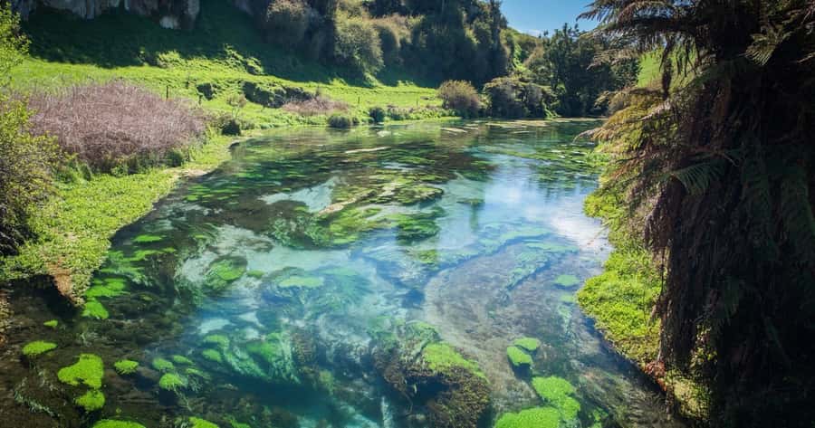Hobbiton Movie Set Tour to Blue Springs and Waitomo caves - Price and value: what you are actually paying for